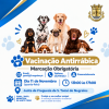 Campanha de Vacina&ccedil;&atilde;o Antirr&aacute;bica 2026